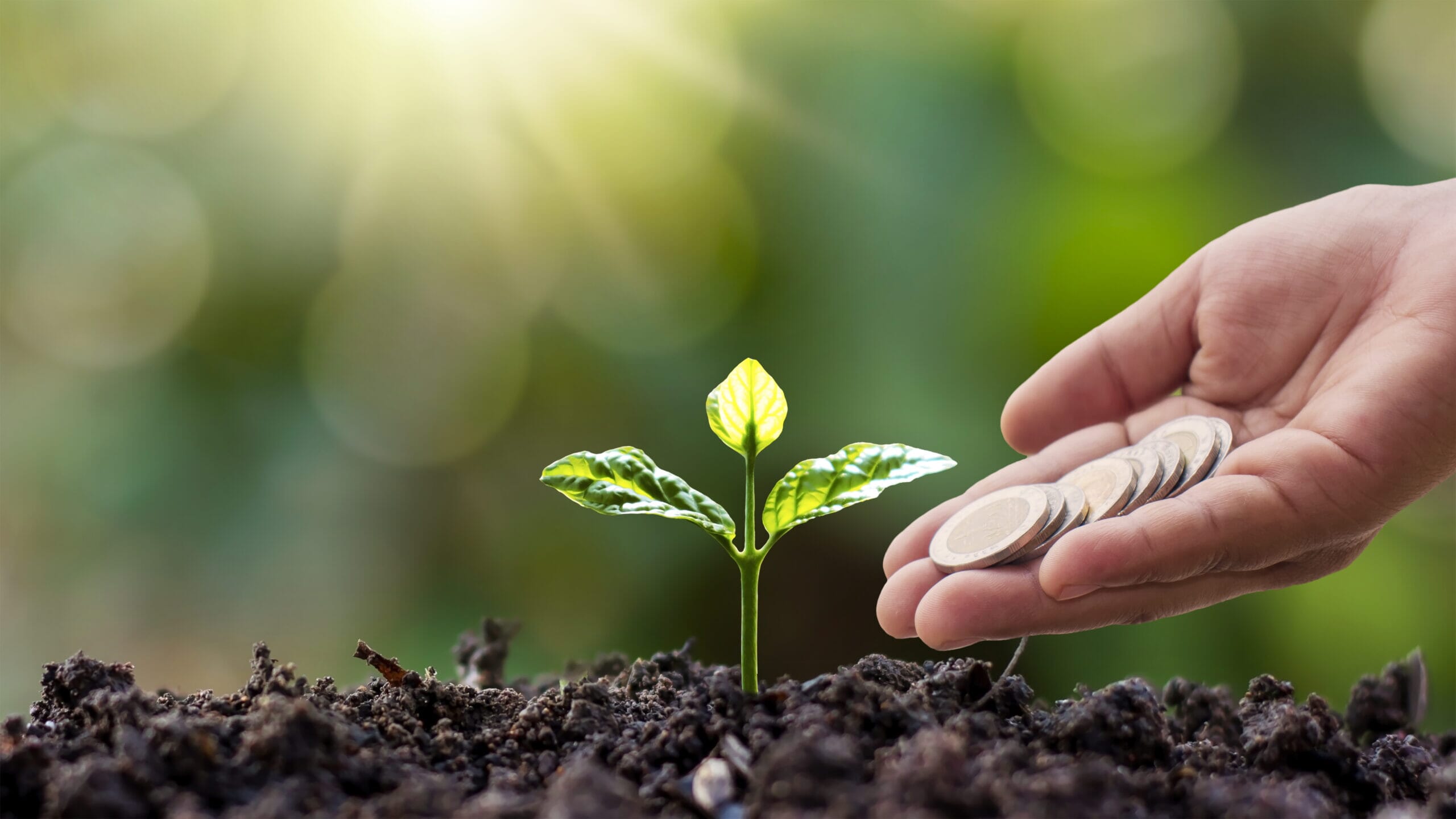 demystifying-the-carbon-credit-market-for-private-equity-firms-main-original-scaled-1