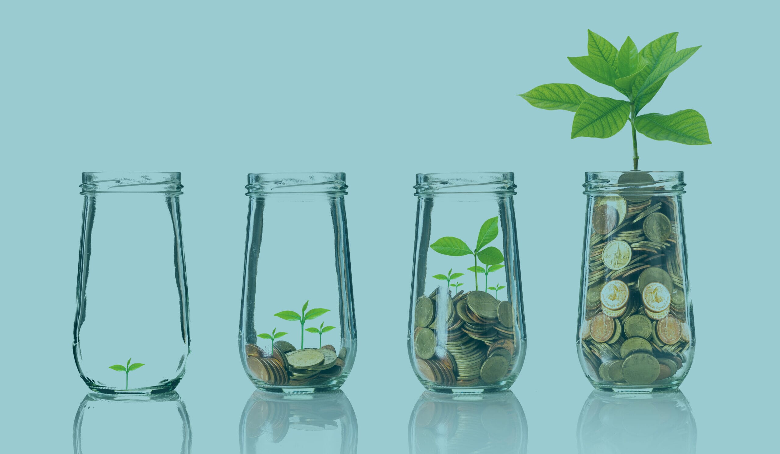 is-a-third-party-compliance-management-system-worth-the-investment-text-original-3.jpg