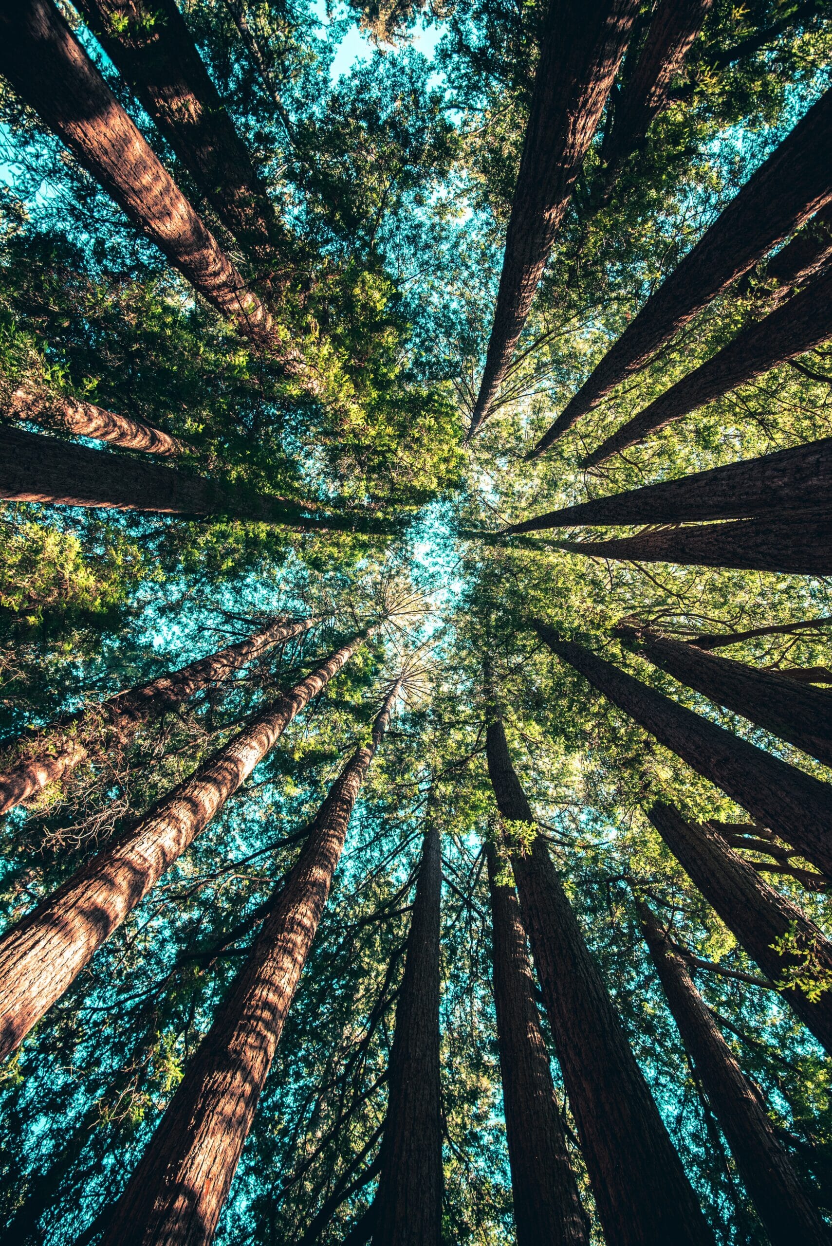 casey-horner-4rDCa5hBlCs-unsplash-scaled-1